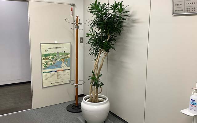 観葉植物販売