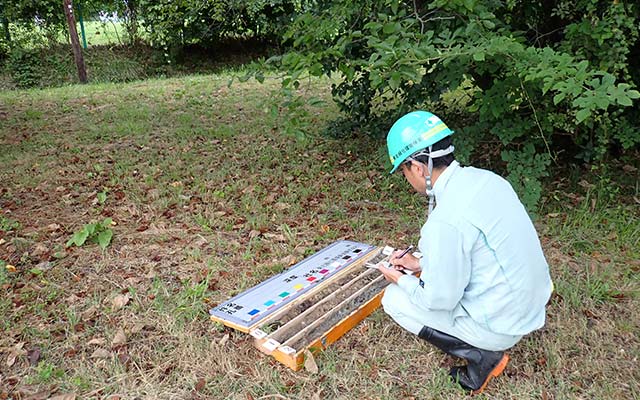 ボーリングコアの観察