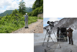 【個別調査（猛禽類調査）】風景