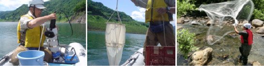 【魚類・底生動物・動植物プランクトン調査】風景