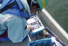 水質測定データの確認